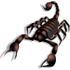 Scorpion - Rascunhos - 