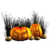 Pumpkins - Ilustracje - 
