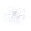 Spider Web - Ilustrationen - 