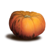 Pumpkin - Gemüse - 
