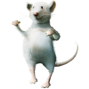 Mouse - Animais - 