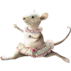 Mouse - Animals - 