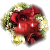 rose - 植物 - 