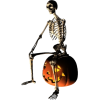 skeleton - Objectos - 
