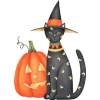 cat and pumpkin - Animales - 