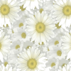 ilustracijeflower sample - Растения - 