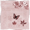 butternies - Illustraciones - 