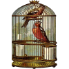 birds in cage - 动物 - 