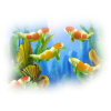 Fish - Animales - 
