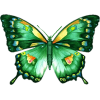 Butterfly - Animais - 