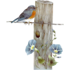 Sparrow - Animals - 