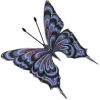 Buterfly - Animali - 