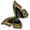 Butterfly - Animali - 