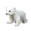 Polar Bear - 動物 - 