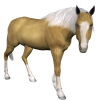 Horse - Animali - 