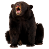 Bear - Zwierzęta - 