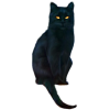 Black Cat - Životinje - 