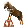 Circus Horse - Животные - 