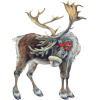 Sob / Reindeer - Zwierzęta - 