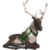 Sob / Reindeer - Animais - 