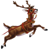 Sob / Reindeer - Animais - 