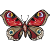 Butterfly - Animais - 