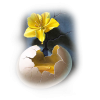 Egg - Namirnice - 