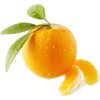 Orange - Frutas - 