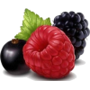 Malina kupina - Fruit - 