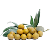 Olives - Food - 