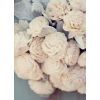 Roses - Mie foto - 