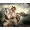 Horse - Minhas fotos - 