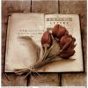 Book and rose - Mie foto - 