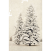 snow tree - Background - 