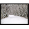 snow road - Moje fotografije - 