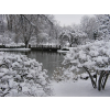 snow lake - My photos - 