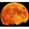 night moon - Fundos - 