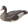 Duck - Animales - 