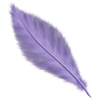 Feather - Objectos - 