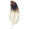 Feather - Przedmioty - 