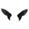 Wings - Przedmioty - 