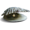 perl shell - 小物 - 