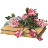 roses book - Articoli - 