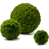 green cell - Objectos - 