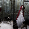 girl with wolfs - 背景 - 