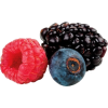Raspberry - Frutas - 