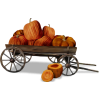 Pumpkins - Vehicles - 