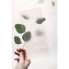 text - Besedila - 