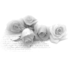 text - Besedila - 