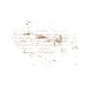 text - Besedila - 